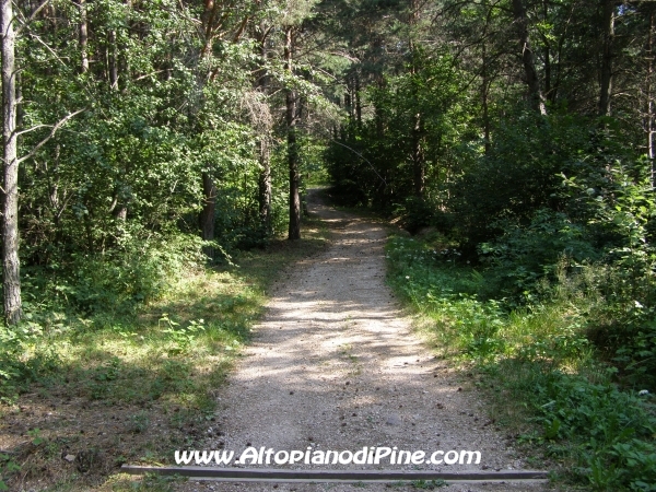 Strada Tressilla-Bellavista [fotopercorsi/strada_tressillabellavista1.jpg]