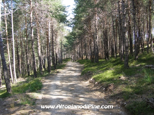 Strada Tressilla-Bellavista [fotopercorsi/strada_tressillabellavista16b.jpg]