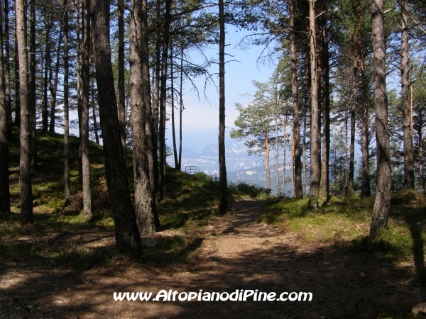 Strada Tressilla-Bellavista [fotopercorsi/strada_tressillabellavista17.jpg]