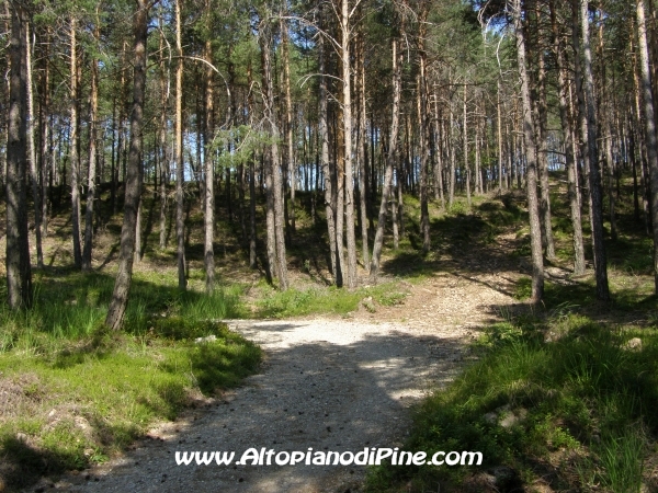 Strada Tressilla-Bellavista [fotopercorsi/strada_tressillabellavista9.jpg]